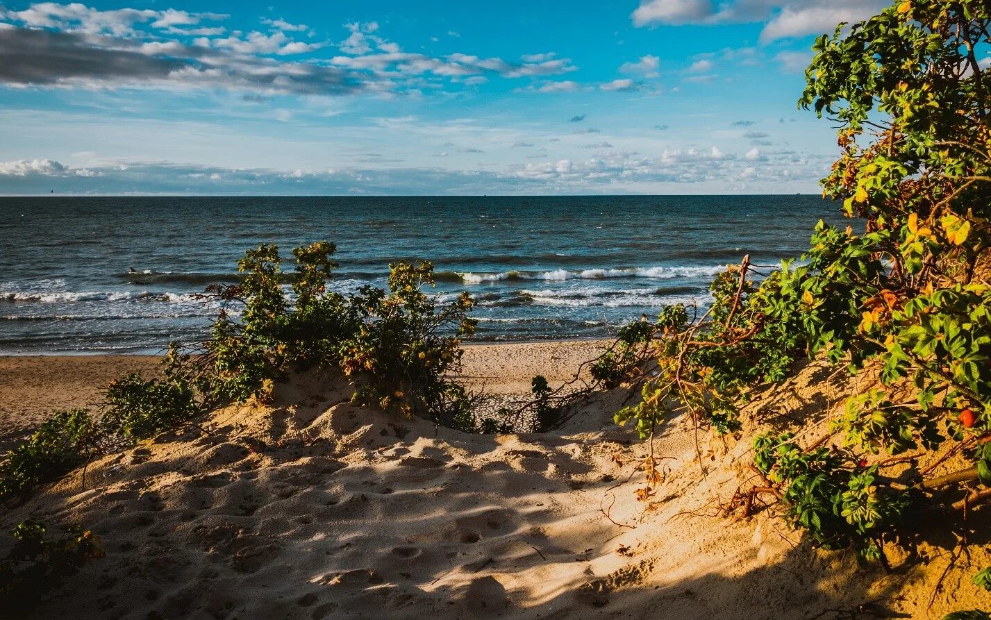 Берег Балтийского моря Зеленоградск. Зеленоградск Балтийское море Куршская коса. Зеленоградск море Куршская коса променад. Взморье Калининградская область.