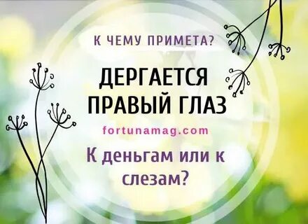 Приметы дергается правое нижнее веко