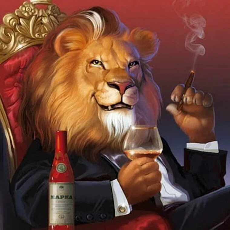 Прикольные знаки зодиака лев. С днем рождения лев. Лев зодиак. Открытка с днём рождения лев. Лев и львица.