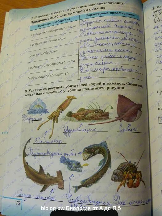 Биология 5 класс рабочая тетрадь стр 76. Природные сообщества морей и океанов. Биология 5 класс Плешаков Сонин. Таблица сообщества морей и океанов по биологии 5 класс. Таблица обитатели морей и океанов биология 5 класс.