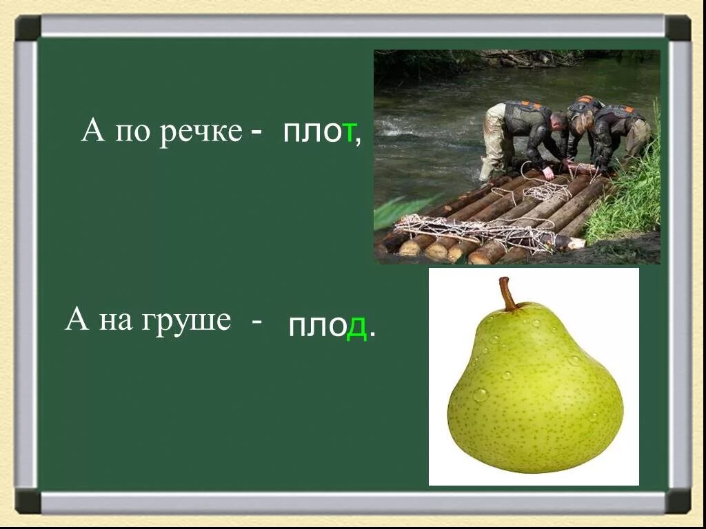 Груша найти слова. Плод и плот. Плот плод омофоны. Плот грушевидный. Плод и плот рисунок.