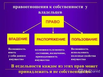 Распоряжаться имуществом пример