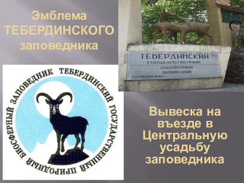 Теберда тебердинский заповедник. Тебердинский заповедник эмблема. Теберда тебердинский заповедник. Тебердинский заповедник работа. Архыз тебердинский национальный парк.