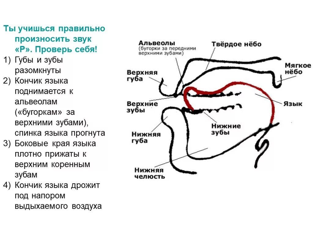 Боковой звук р