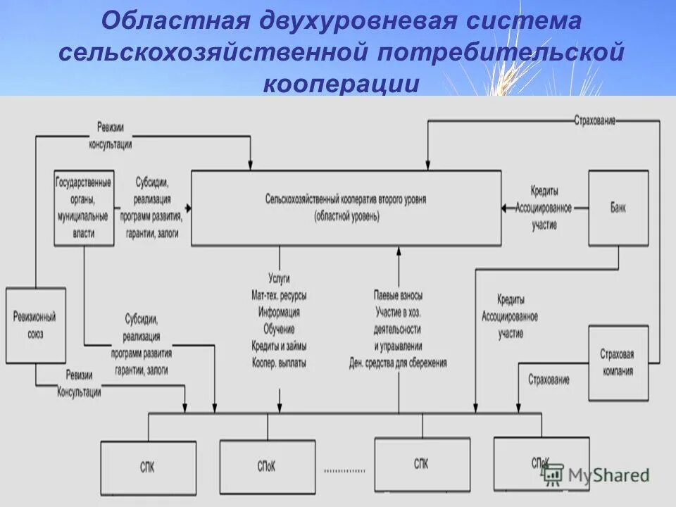 Двухуровневая схема управления организацией. Двухуровневая структура управления. Двухуровневая система муниципальных образований. Двухуровневая система организации местного самоуправления. 193 фз о сельскохозяйственной кооперации