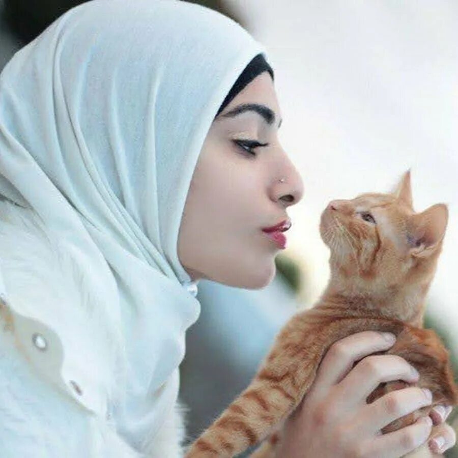 Мусульманские животные. Кошка пророка Мухаммеда Муизза. Мусульманский кот. Мусульманка и животные. Мусульманка с котом.