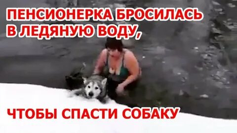 Собака спасла женщину