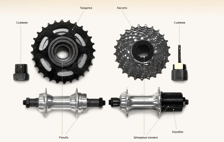 Разница колес велосипеда. Задняя втулка шимано 7 скоростей. Задняя втулка шимано 6 скоростей. Втулка заднего колеса велосипеда 7 скоростей. Втулка для велосипеда под кассету 7 звёзд.
