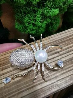 E spider