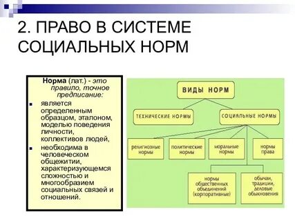 Система общественных норм