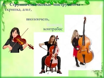 Чем отличается виолончель
