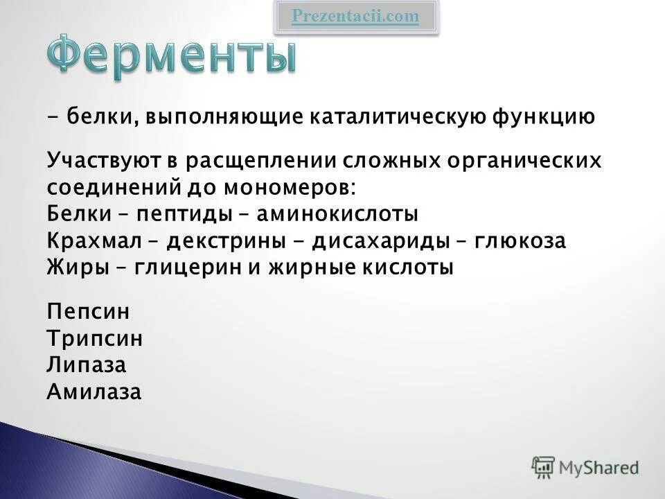 Энергетическая функция белков. Белки выполняют функцию. Только белки выполняют функцию выберите ответ. Только белки выполняют функцию выберите ответ. Перечислить функции белков в организме человека.