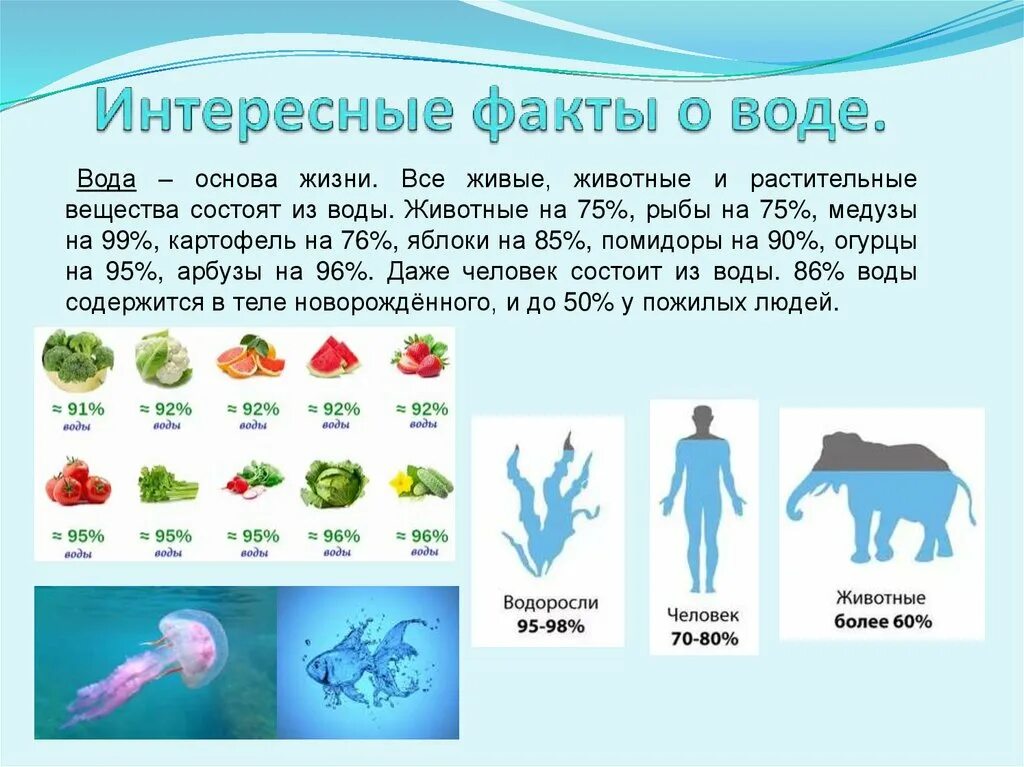 Основа жизни 4