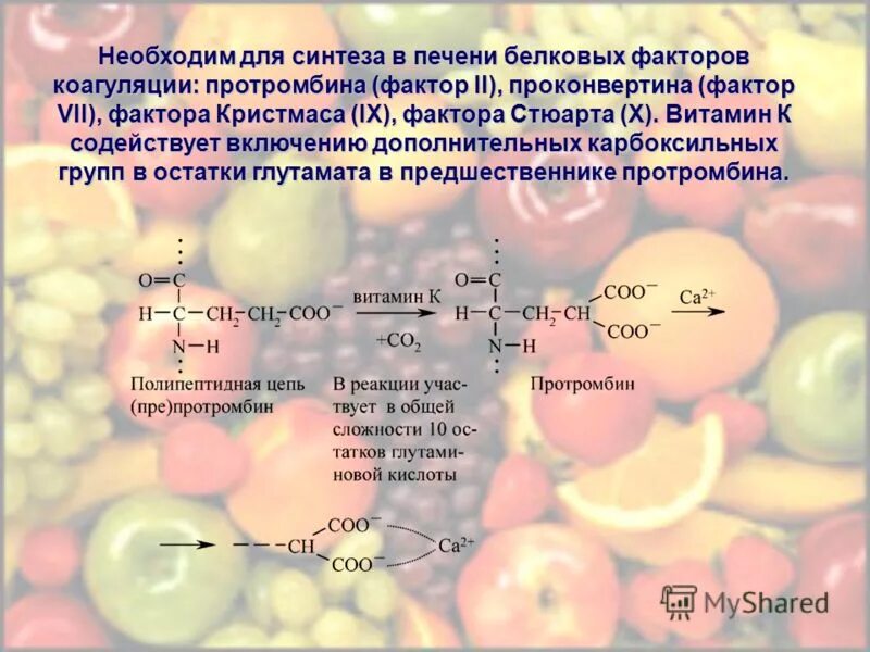 Биосинтез витаминов