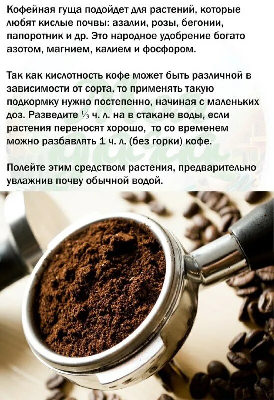 Кофейная гуща как удобрение для комнатных