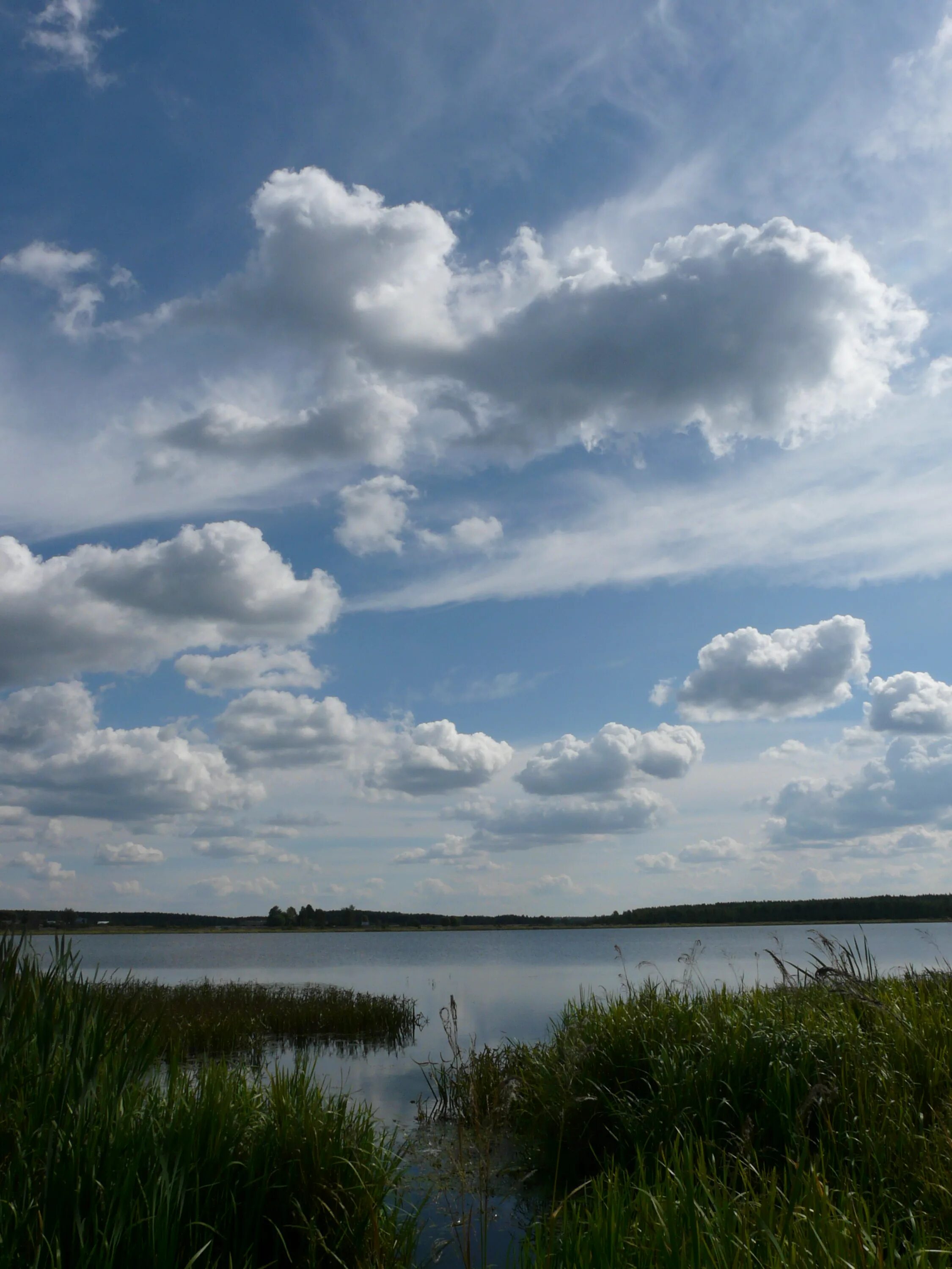 Озеро Заозерье. Покровское озеро Тверская область. Заозерье Богородский район озеро. Озеро Покровка. Покровское озеро большое