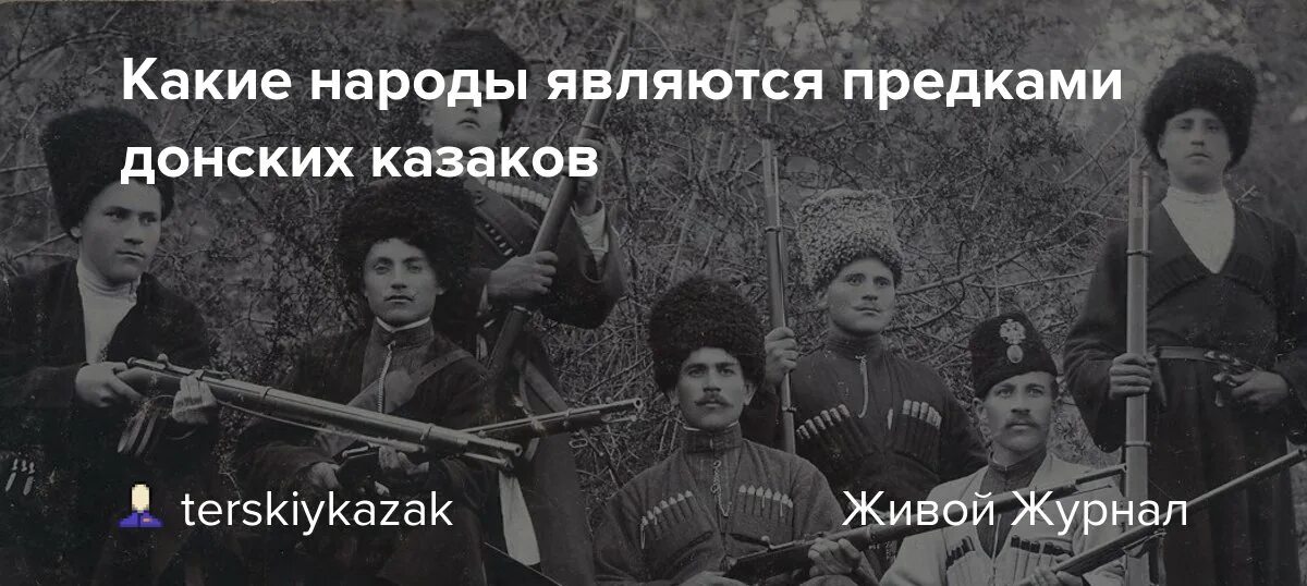 Казаки нация. Казаки краснодар. Казаки национальность. Шапка казака. Командир казачьего батальона терек.