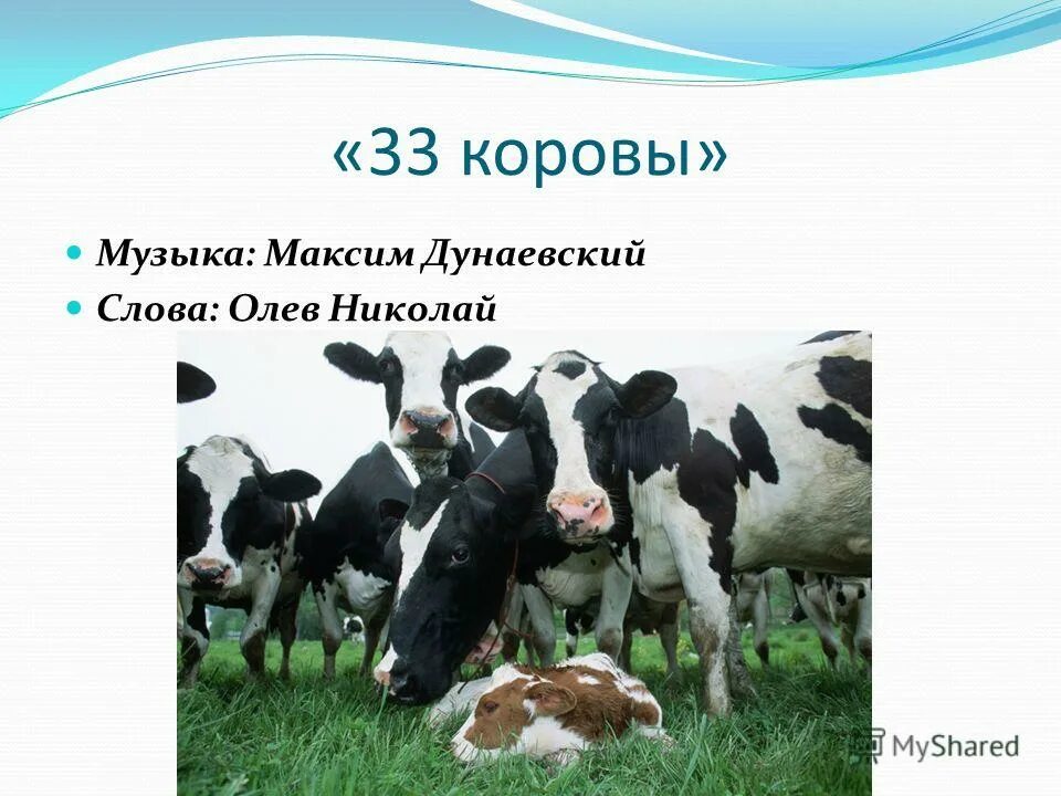 33 коровы текст