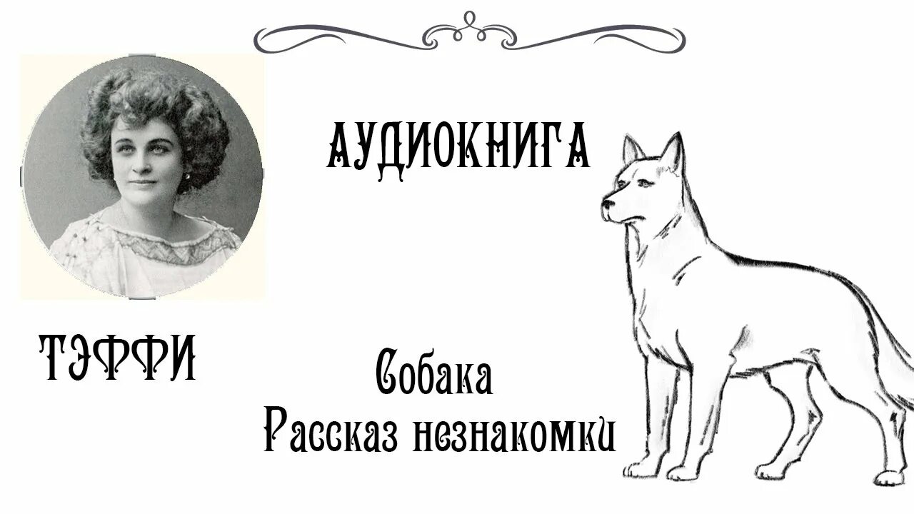 Тэффи рассказы слушать. Тэффи собака. рассказы. тэффи. тэффи и кошки.