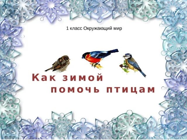 Как зимой помочь птицам 1 класс окружающий. Птицы зимой 1 класс презентация. зимующие птицы вологодской области. окружающий мир жизнь птиц зимой. день зимующих птиц презентация.