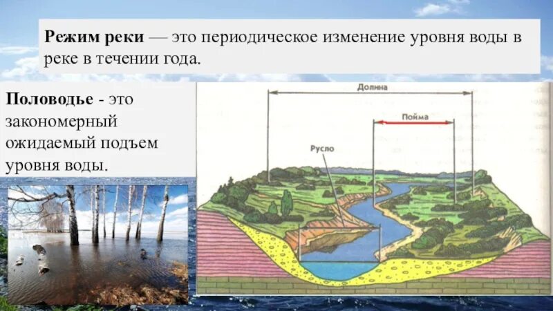 Изменение реки. Изменение уровня воды в реке. Режим уровня воды в реке. Изменение уровня воды в реке на протяжении года. Графики изменения уровня воды в реках.