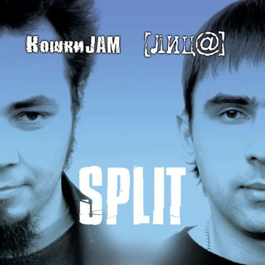 Том кэт группа. Группа кошки jam. Джем исполнитель. Psycada группа. Музыкальная группа кошки.