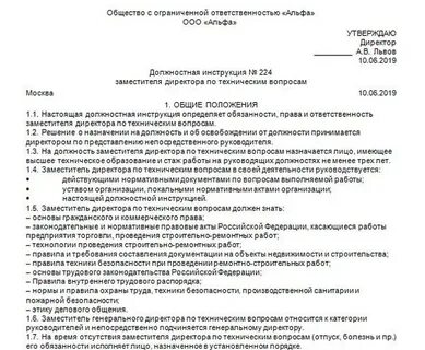 Директор дши должностная инструкция