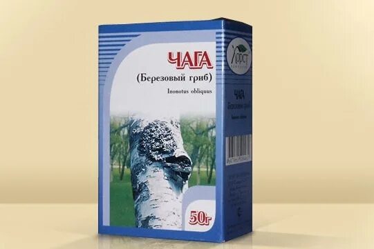 Лечение и противопоказания чагой. Чага березовый Хорст. Целебная чага. Чага Березовая (гриб) 50гр.. Чага лекарственная.