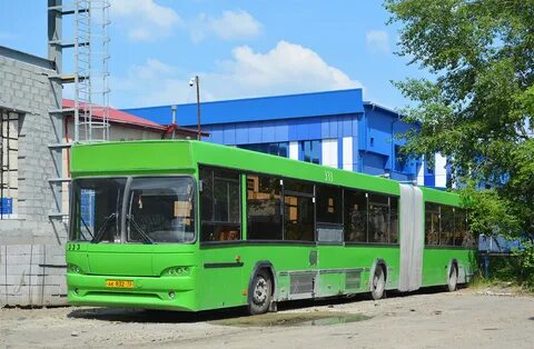 Автобус 333 спб
