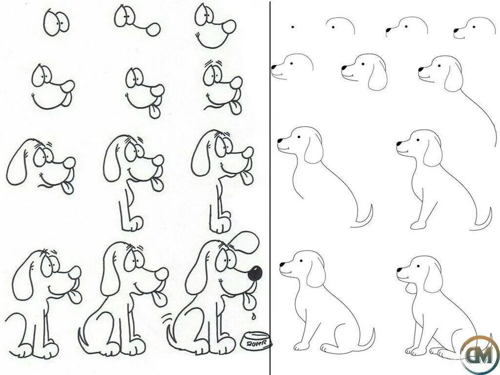 Рисуем собаку с детьми. Поэтапное рисование собаки. Собака рисунок. Собака рисунок карандашом. Схема рисования собаки для детей.