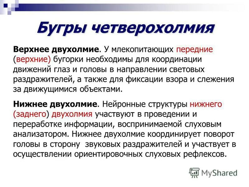 Переднее значение