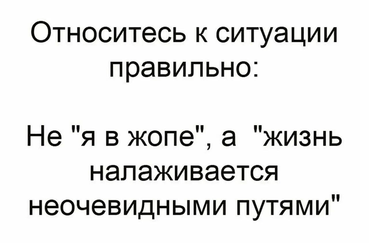 Правильная жизнь это какая. Относитесь к ситуации правильно. жизнь налаживается. жизнь налпживается неосевидными путями. анекдот про жизнь налаживается.