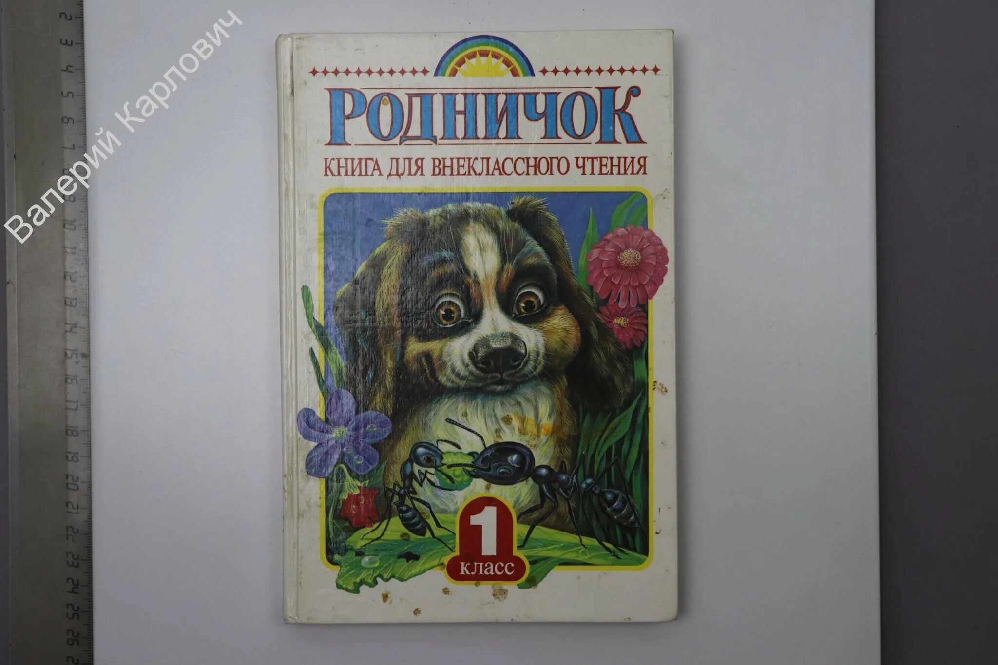 Родничок книга для внеклассного. Родничок книга для внеклассного чтения. Родничок. Книга для внеклассного чтения. 1 Класс. Родничок книга Советская. Книга Родничок 1 класс.