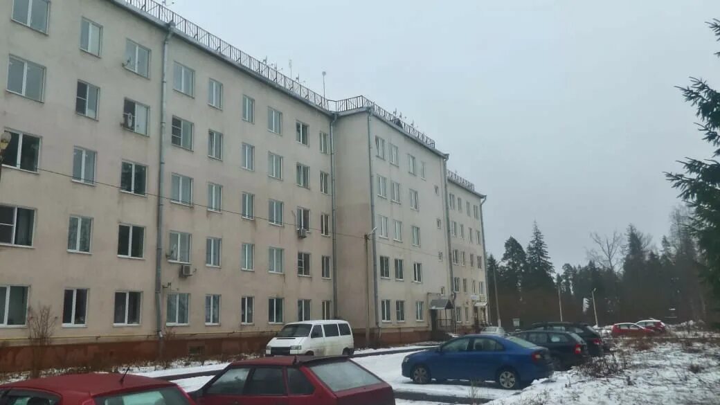 Ул толмачева д 1. Сиверский толмачева 71.