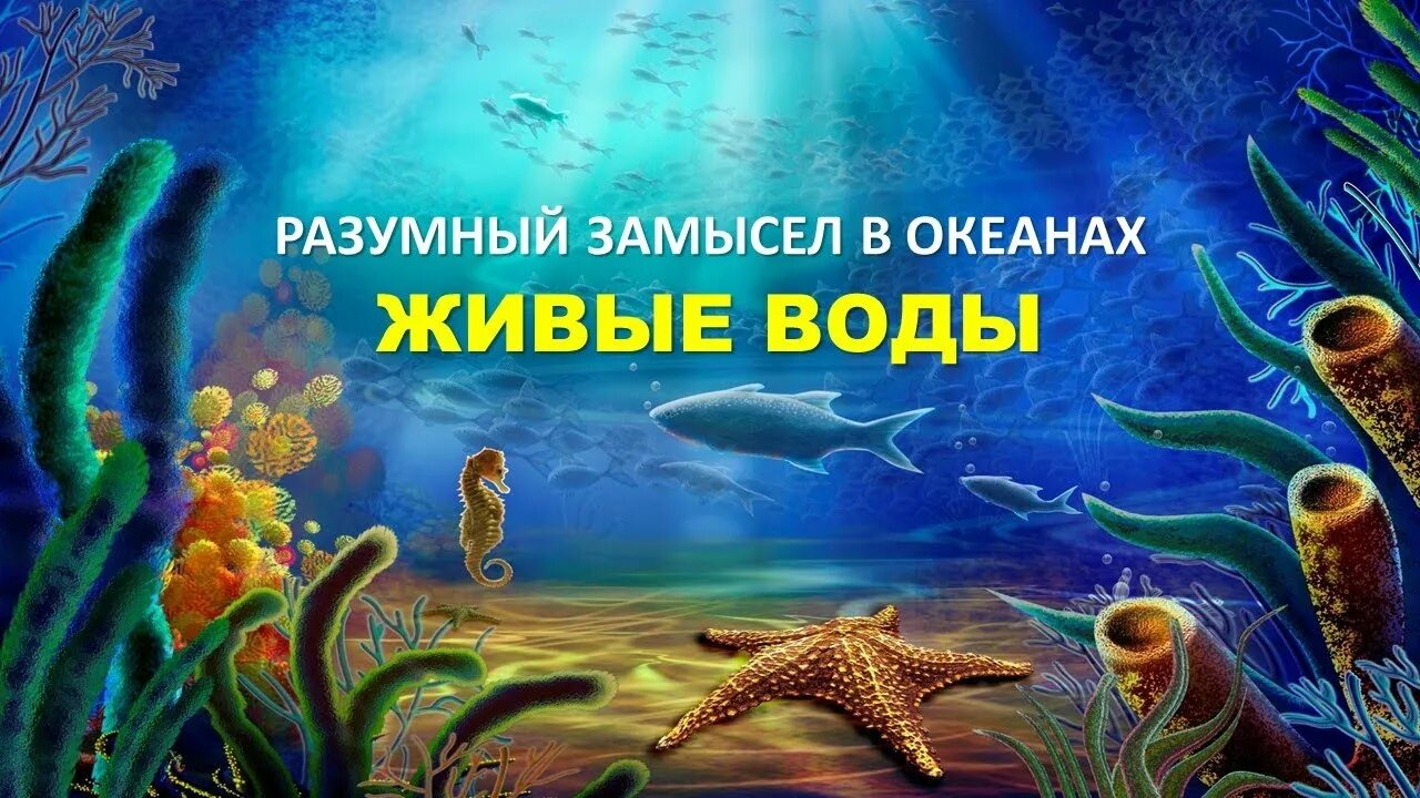 Экология воды. Пить воду. Вода разумна. Вода это жизнь. Изображение воды.