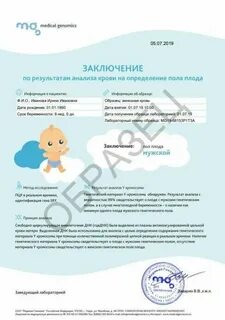 Днк тест на ранних сроках беременности