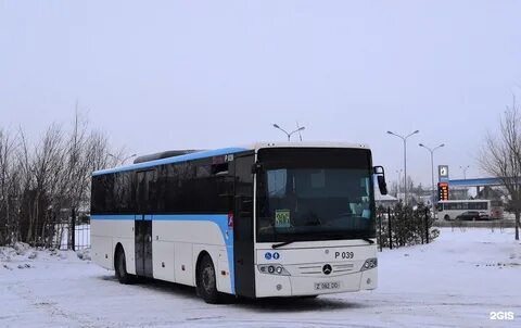 Омск астана автобус