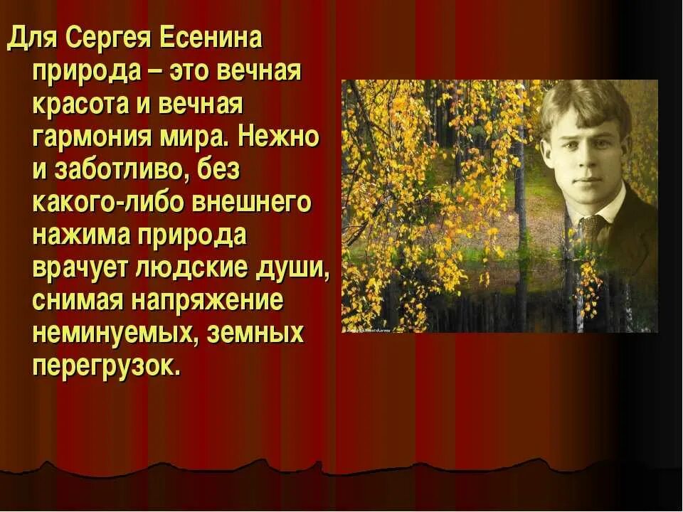 Какие темы звучат в стихотворениях есенина. Стихотворение Есенина о природе. Природа в поэзии Есенина. Природа в есенинских стихах. Стихи Есенина о природе.