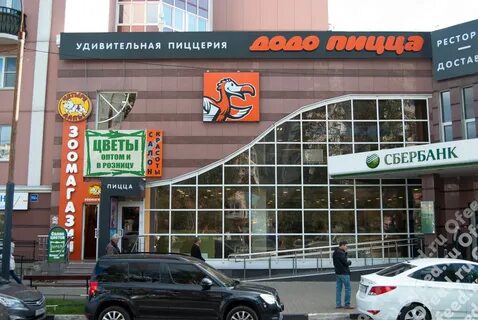 Додо сосновый бор