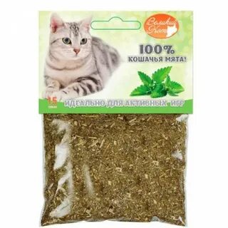 Котятам можно кошачью мяту