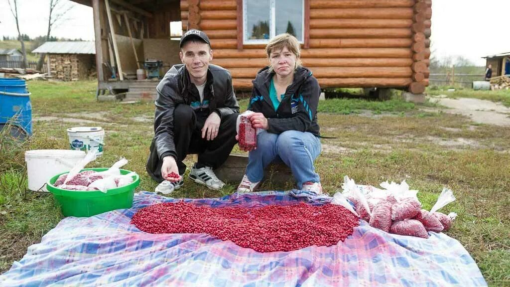 Погода гисметео гайнах пермский край. Гайны Пермский край верхняя Старица. Поселок Кебраты Гайнский район Пермский край. Косинский район Пермский край. Поселок сейва Гайнский район.