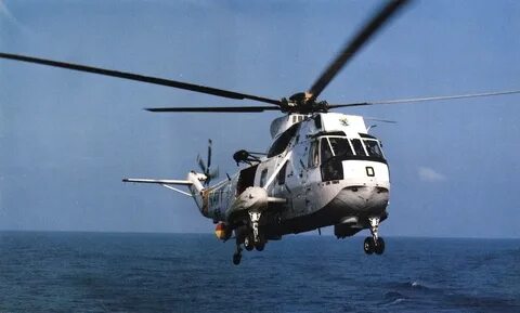 Sea king fish