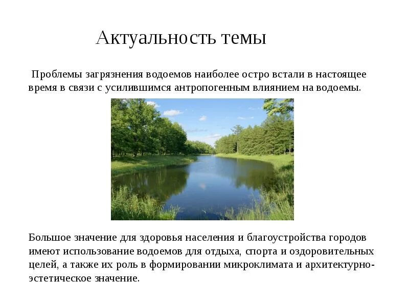 Актуальность темы загрязнение пруда. Актуальность темы загрязнение воды. Загрязнение воды актуальность проблемы. Актуальность проекта загрязнение воды. Водные богатства ленинградской области