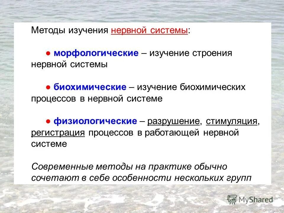 Морфология изучает внешнее строение. Морфология изучает внешнее строение