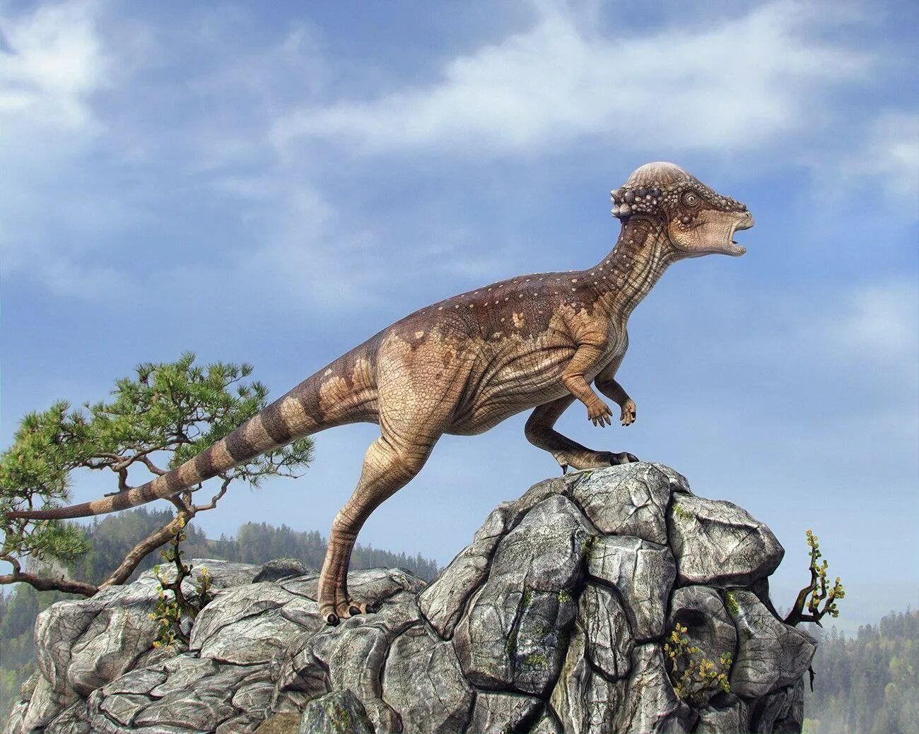 Двуногие травоядные динозавры. Аллозавр меловой период. Динозавр тарбозавр. Двуногие динозавры. Страус без перьев.