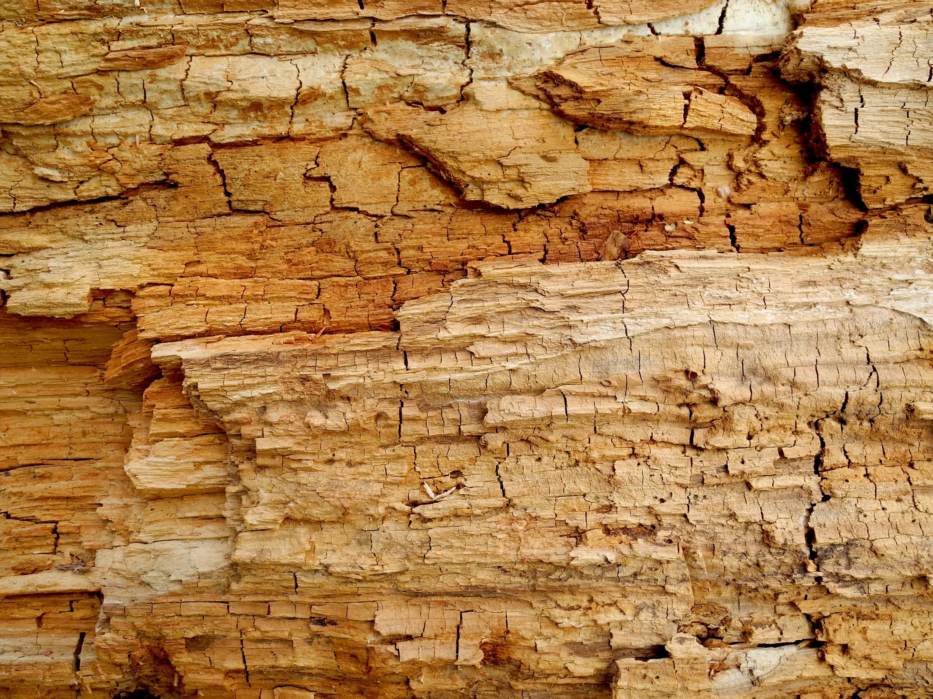 Камень дерева. Дерево и камень текстура. Каменное дерево текстура. Рваная текстура дерева. Фактура дерево камень.