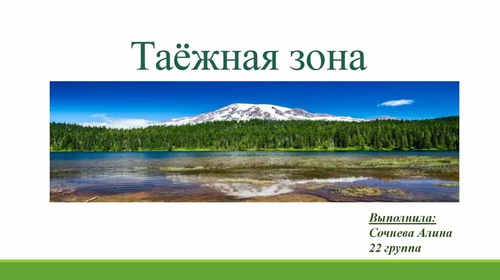 Темнохвойных лесов растительность. Таёжная зона 8 класс. Таежная зона презентация 8 класс география. Охрана природной зоны тайги. Рассказ о природной зоне.