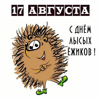 День ежа