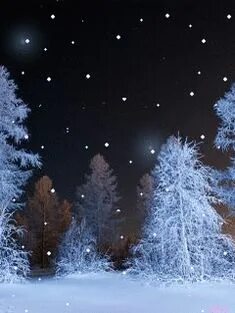 Падая снежинки ночи