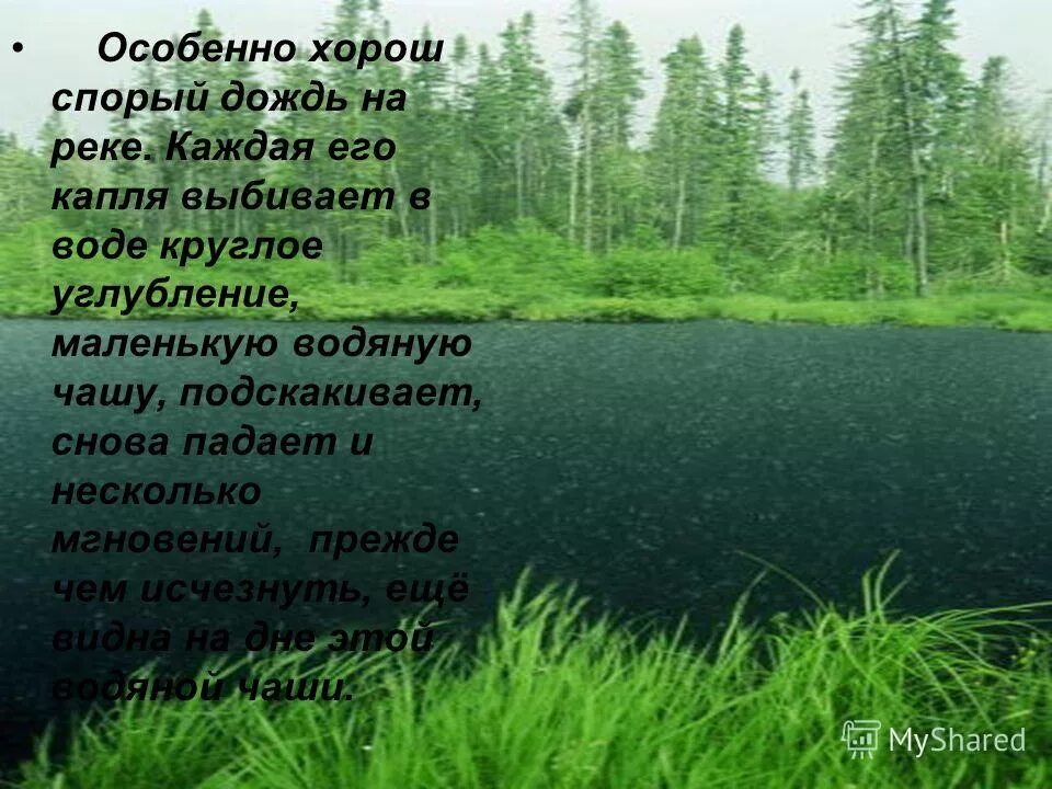 Спорый дождь. Спорый дождь на реке. Спорый дождь картинки. Какие бывают дожди.